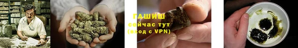 крисы Алзамай