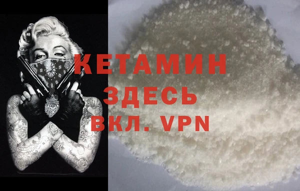 крисы Алзамай
