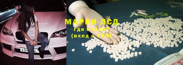 крисы Алзамай